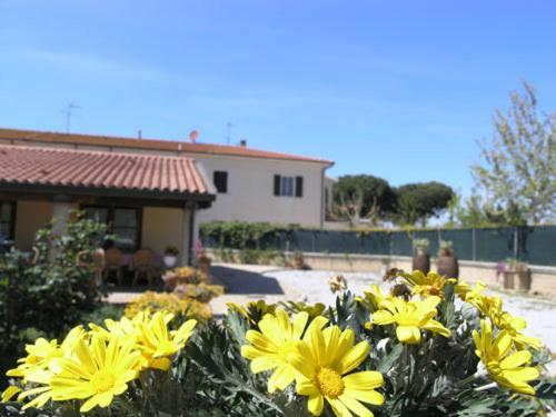 Agriturismo Podere San Michele San Vincenzo Exterior photo